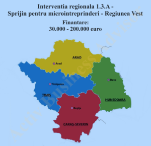 Microintreprinderi - Regiunea Vest