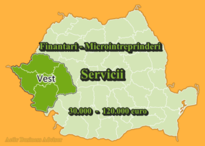 Finantari Servicii Regiunea Vest