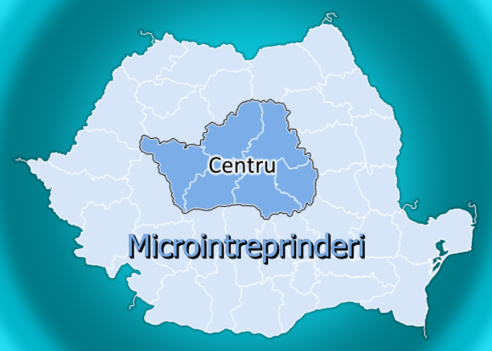Microintreprinderi Regiunea Centru-side